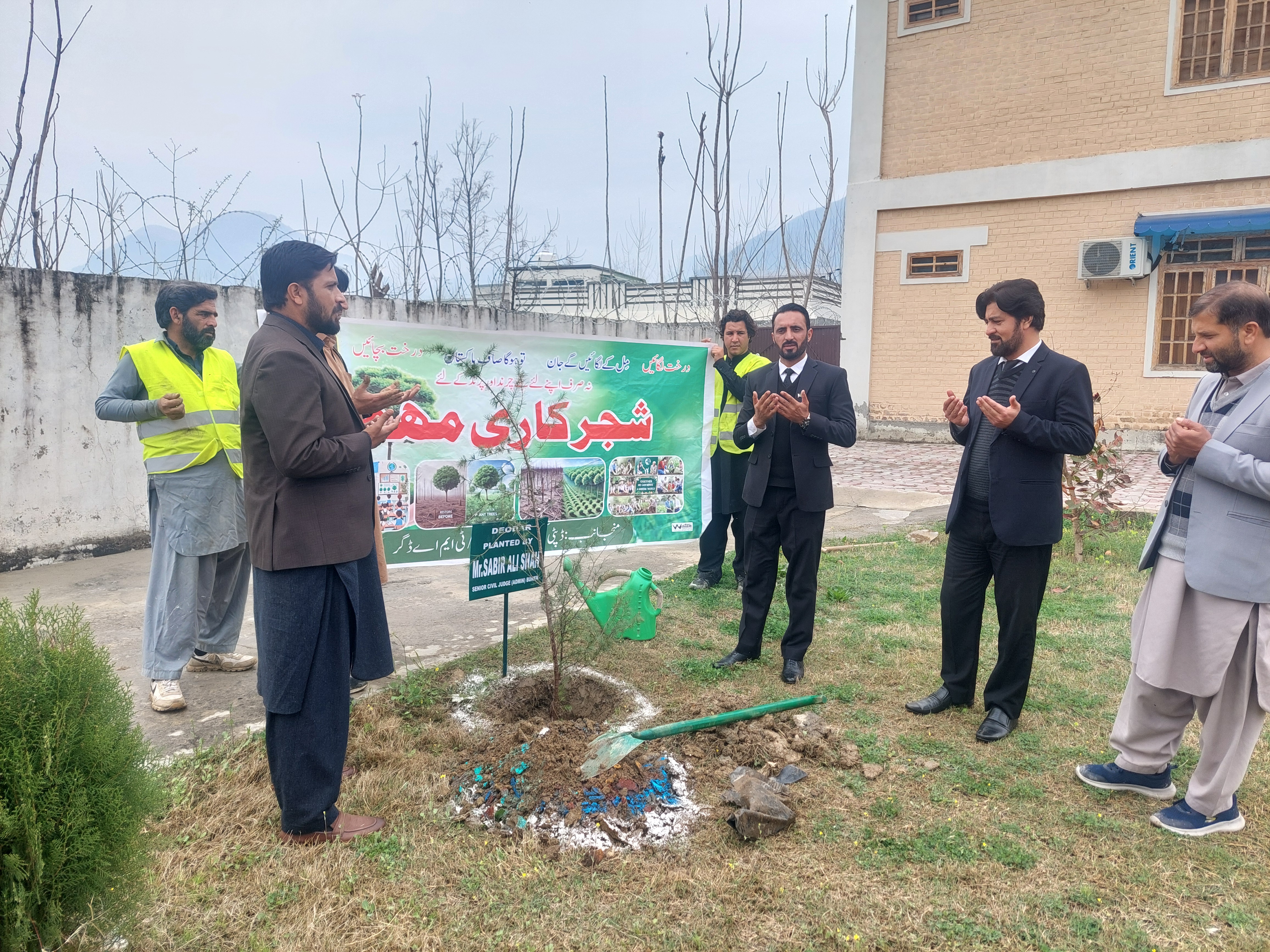 Deodar Plant, Planted by Hon'ble Senior Civil Judge Admin Buner