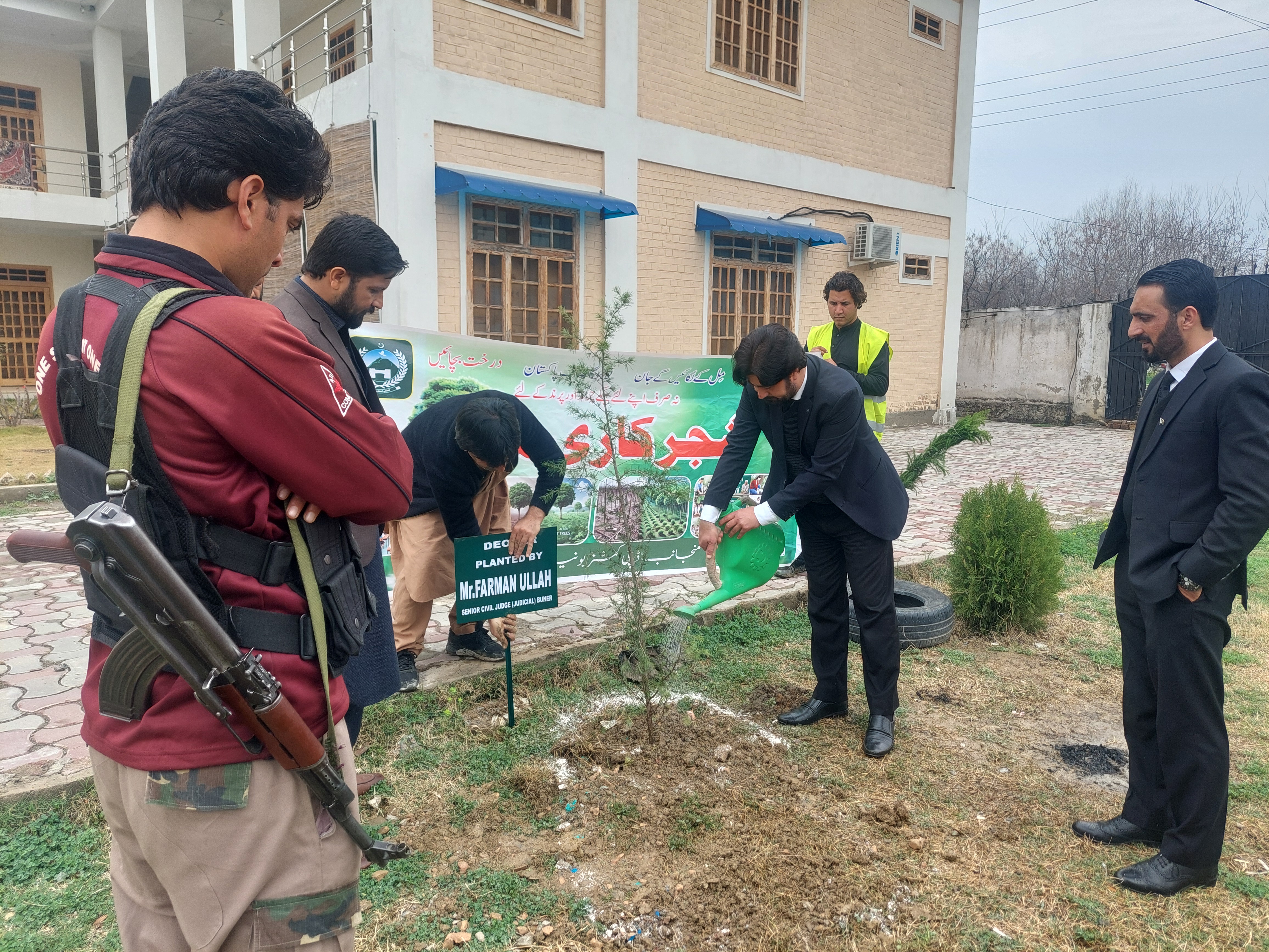 Deodar Plant, Planted by Hon'ble Senior Civil Judge Judicial Buner